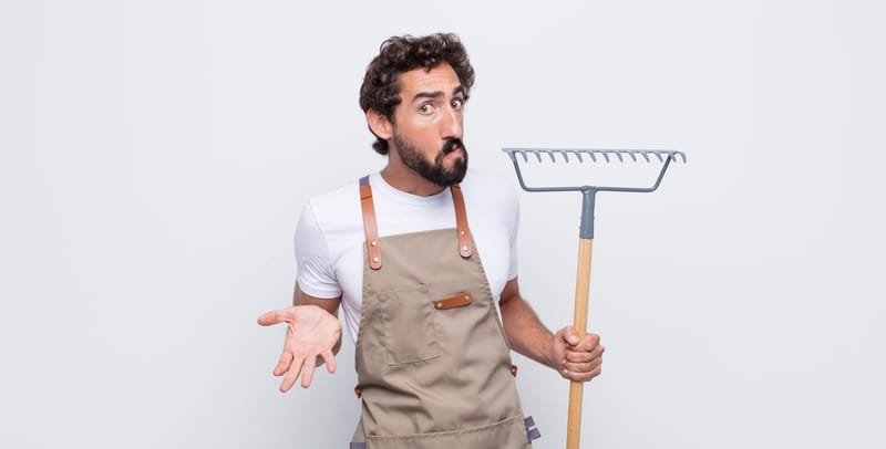 mondo vivai manuale del giardiniere curiosita dubbi di giardinaggio