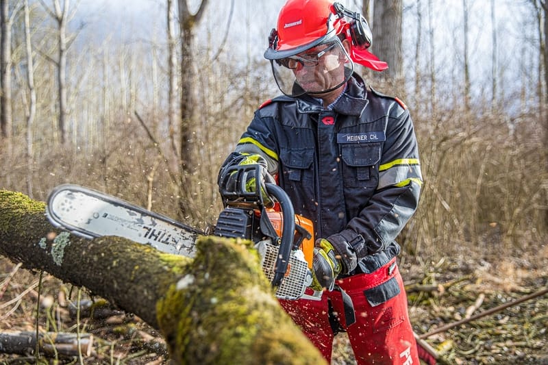 abbattimento di alberi