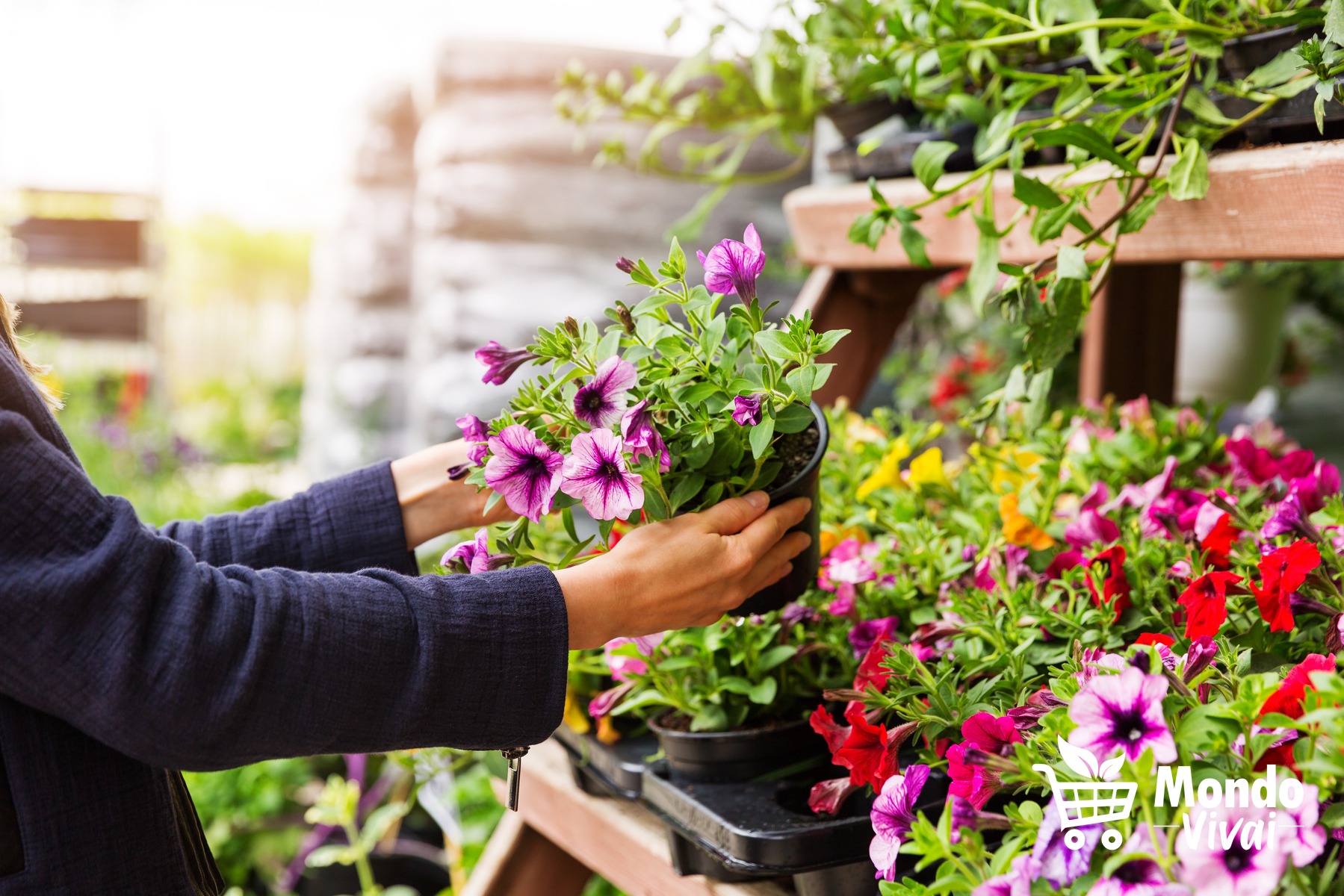 nel vivaio trovi tutte le piante di cui hai bisogno per un giardino meraviglioso