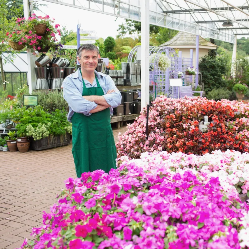 fiori in un vivaio di piante