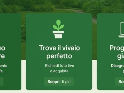 WhatsApp-Image-2025-08-19-at-16.27.35