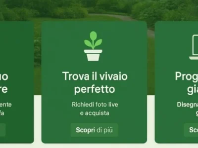 WhatsApp-Image-2025-08-19-at-16.27.35