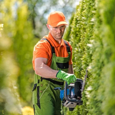 giardiniere taglia una siepe