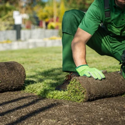 posa del prato pronto